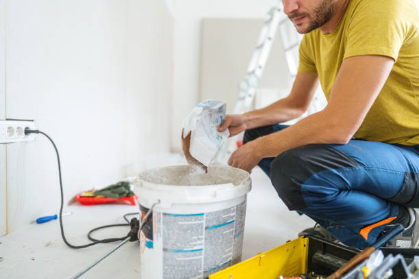 Trusted Wheeling, IL Mold Removal Experts