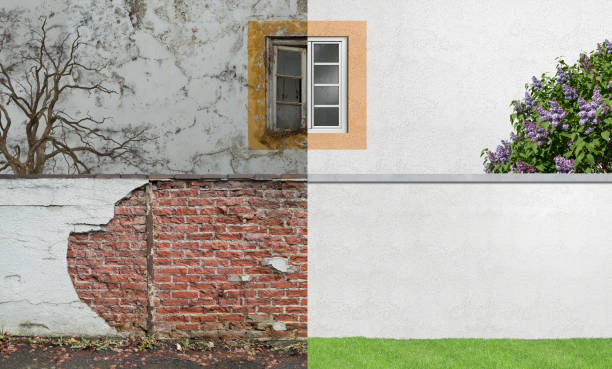 Best Attic Mold Removal  in Wheeling, IL