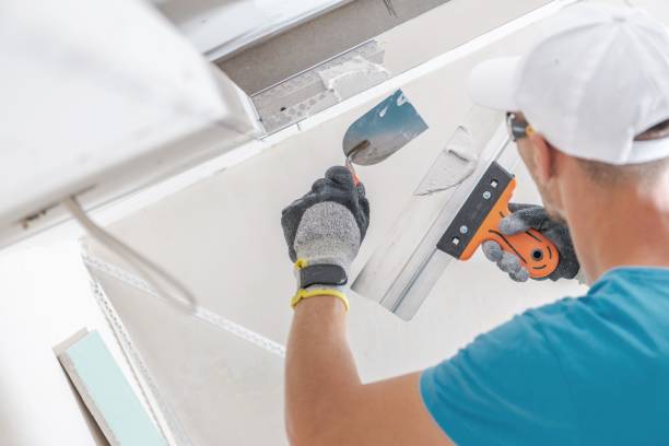 Best Black Mold Removal  in Wheeling, IL